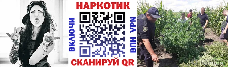 Сколько стоит Сальск Псилоцибиновые грибы Канабис А ПВП Амфетамин