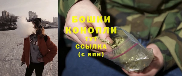 трава Арсеньев
