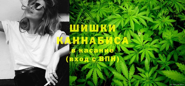 трава Арсеньев