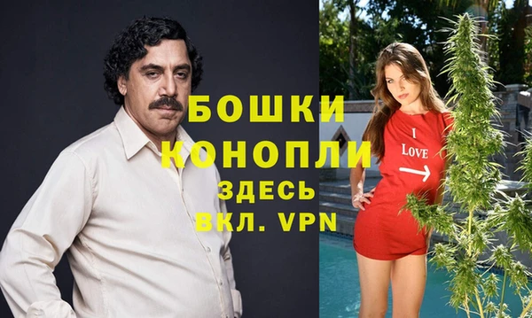 трава Арсеньев