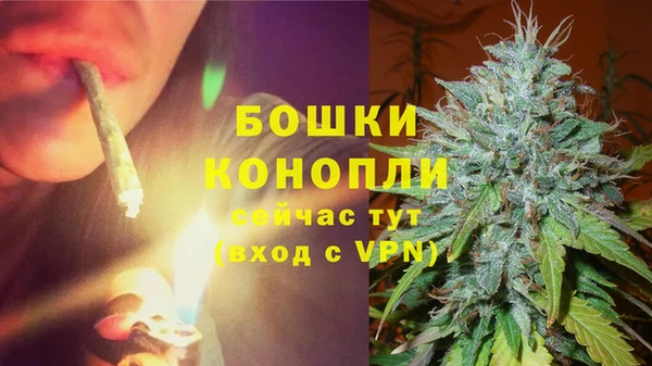 трава Арсеньев